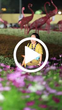 BIB:  <button type="button" onclick="openModal(27589989)" class="btn btn-primary btn-sm float-right" data-toggle="modal" data-target=".modal-high-quality">
                <i class="fa fa-download"></i> Download
                </button>